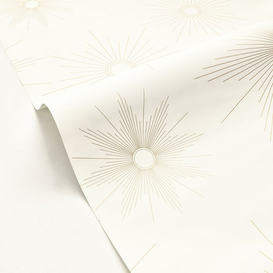 William Wallpaper - Blanc - Caselio - 103812009 - Premier Wallcovering