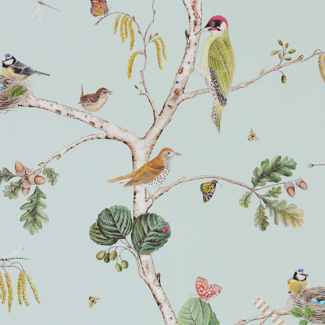 Woodland Chorus Wallpaper - Sky Blue/Multi - DWOW215706 - Sanderson - Premier Wallcovering