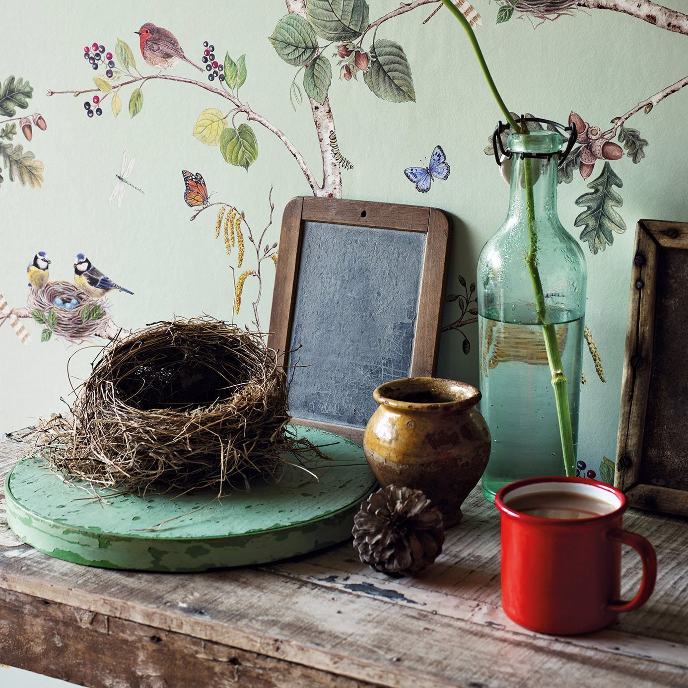 Woodland Chorus Wallpaper - Sky Blue/Multi - DWOW215706 - Sanderson - Premier Wallcovering