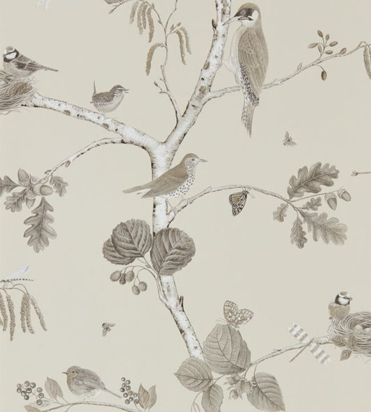 Woodland Chorus Wallpaper - Sepia/Neutral - DWOW215704 - Sanderson - Premier Wallcovering