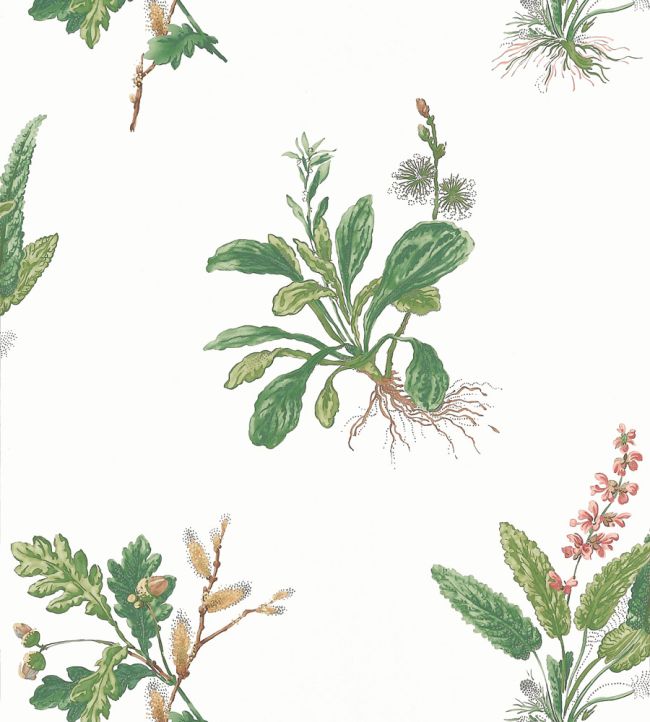 Woodland Wallpaper - Green and Blush - AT57852 - Anna French - Premier Wallcovering