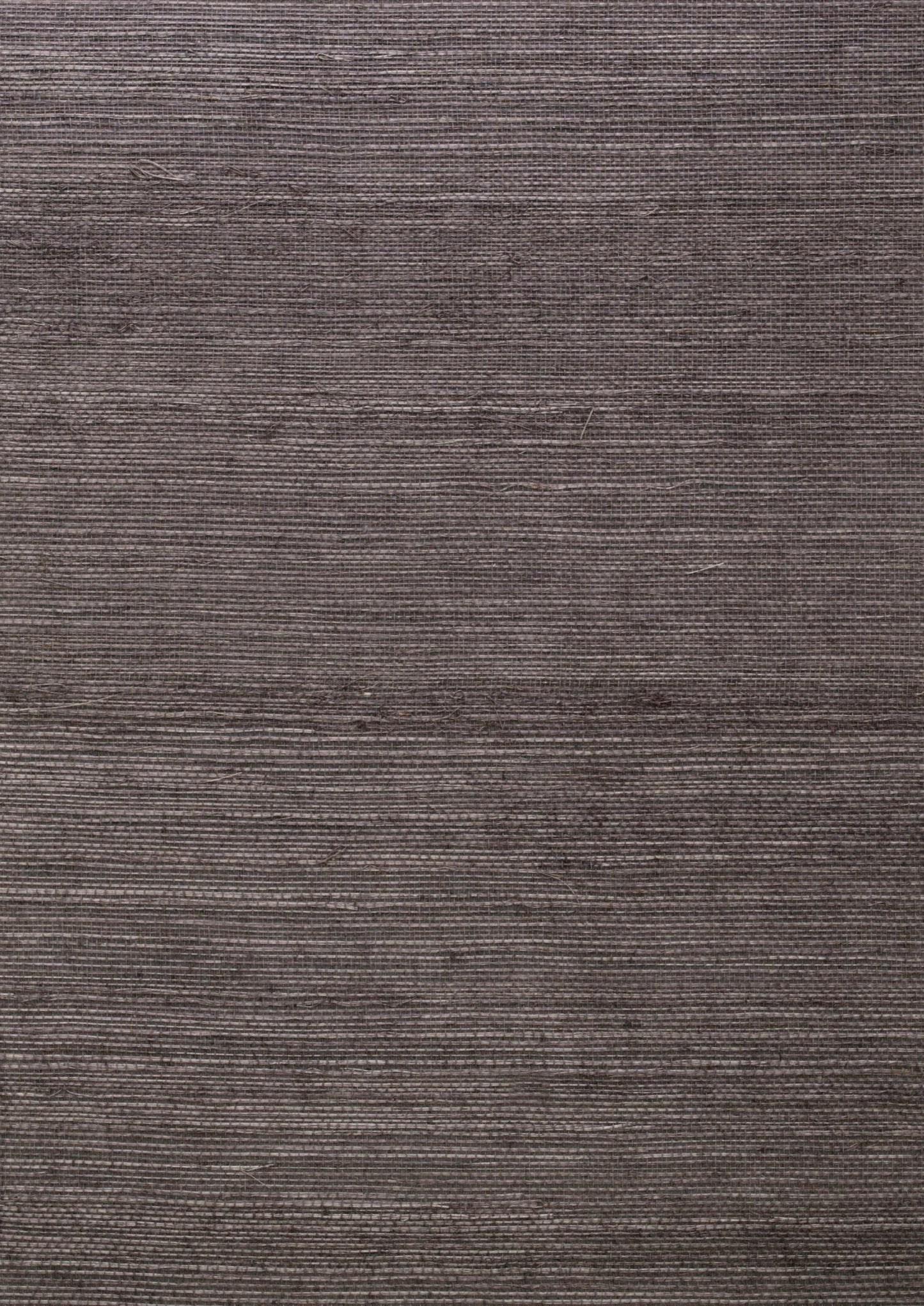 Zulu Wallpaper - Spider - Andrew Martin - ECZUSP - Premier Wallcovering