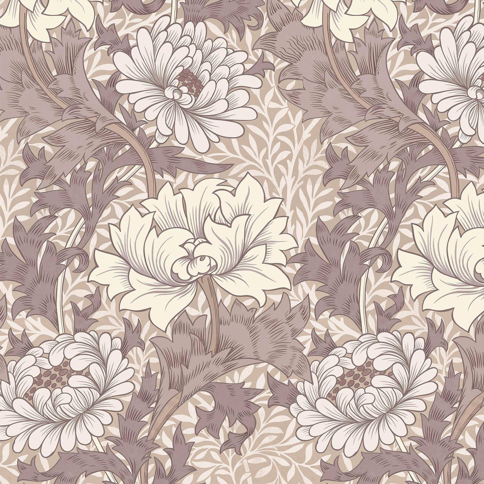 1-WA-CHM-DI-ASA-XXX - Chrysanthemum Magna Wallpaper - Astrantia - House of Hackney