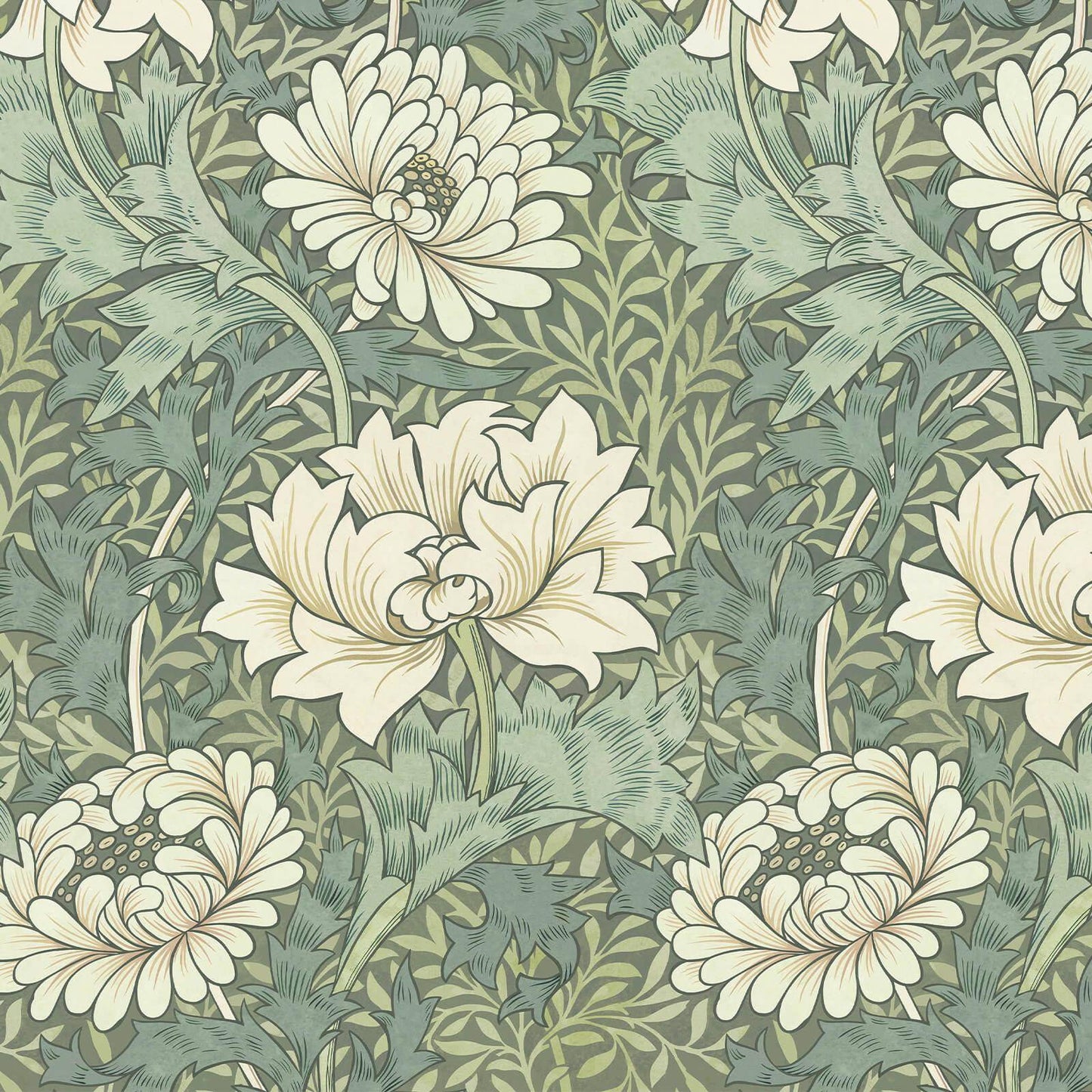1-WA-CHM-DI-SAP-XXX - Chrysanthemum Magna Wallpaper - Sap - House of Hackney