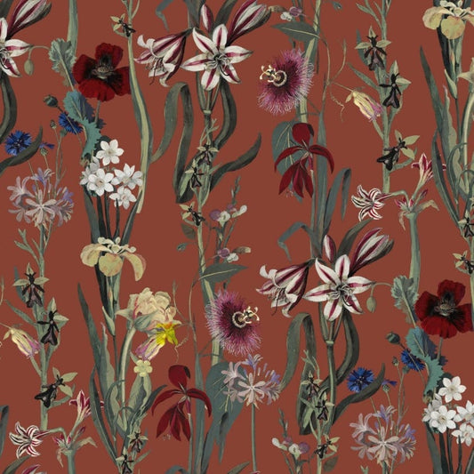 1-WA-DEL-DI-CLA-XXX - Flora Delanica Wallpaper - Clay - House of Hackney