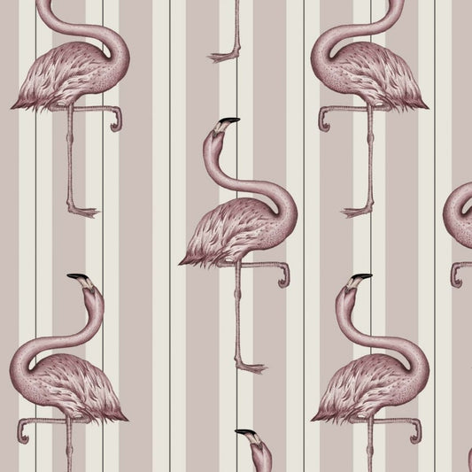 1-WA-FLA-DI-MPK-XXX - Flamboyance Wallpaper - Off-White & Macaroon-Pink - House of Hackney