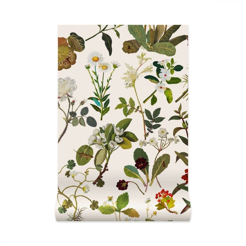 1-WA-HER-DI-ECR-XXX - Herbarium Wallpaper - Ecru - House of Hackney