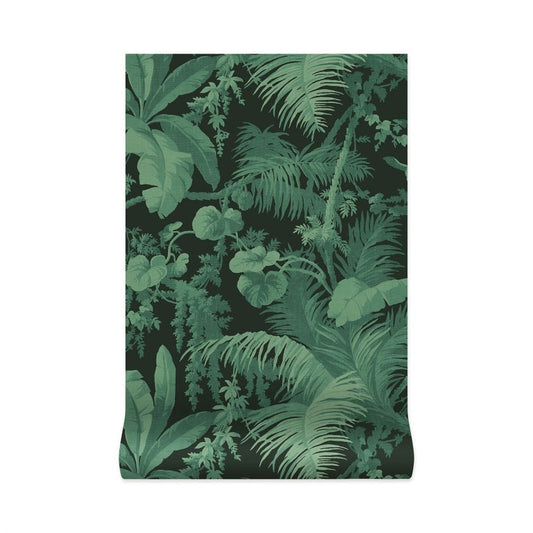 1-WA-PAM-DI-NOI-XXX - Pampas Wallpaper - Noir - House of Hackney