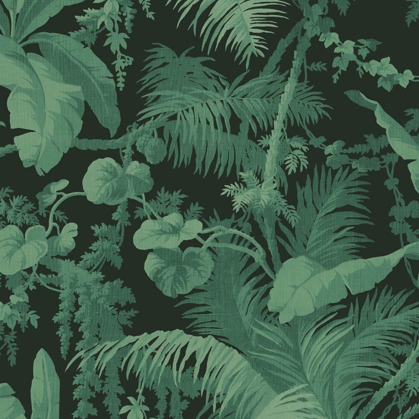 1-WA-PAM-DI-NOI-XXX - Pampas Wallpaper - Noir - House of Hackney