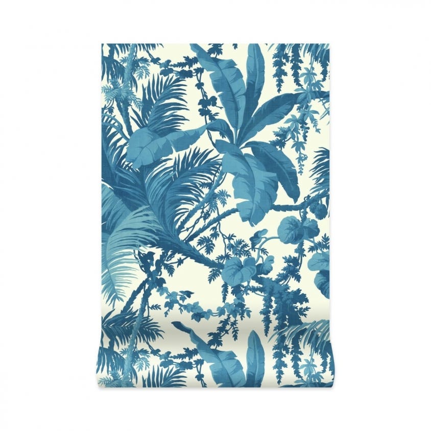 1-WA-PAM-DI-W&C-XXX - Pampas Wallpaper - Off-White & Cerulean - House of Hackney