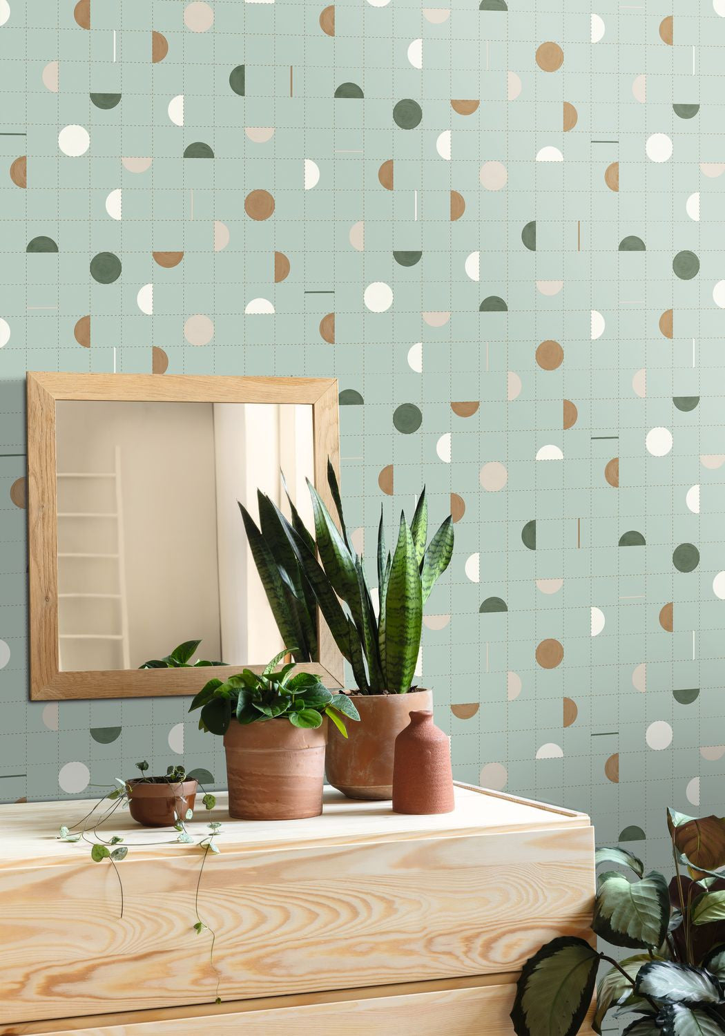 Jump Around Wallpaper