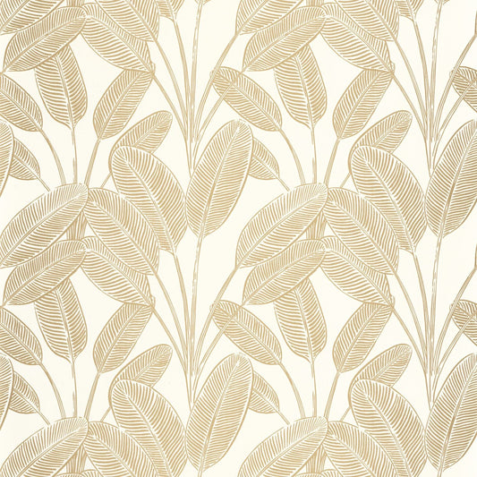 Little Banana Wallpaper