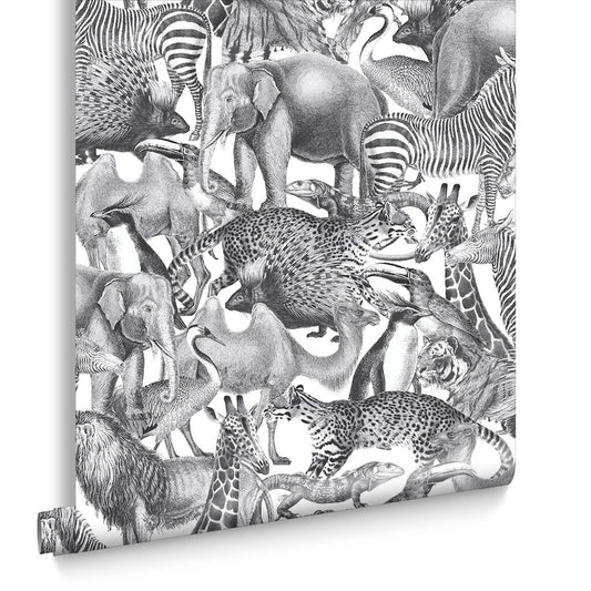 105474 - Kingdom Wallpaper - Zebra - Graham & Brown