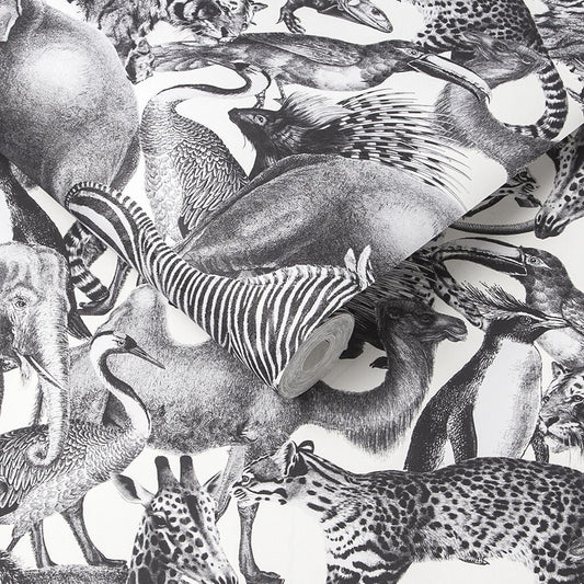 105474 - Kingdom Wallpaper - Zebra - Graham & Brown
