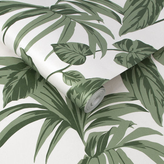 107606 - Palma Wallpaper - Chalk - Graham & Brown