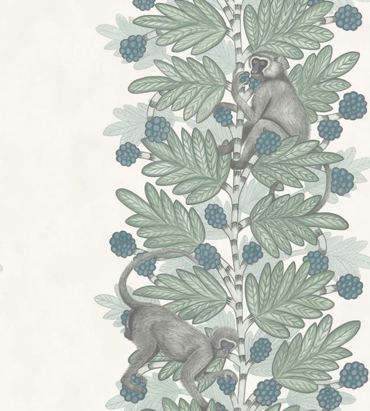  109/11052 - Acacia Wallpaper - Duck Egg & Print room Blue on White - Cole & Son