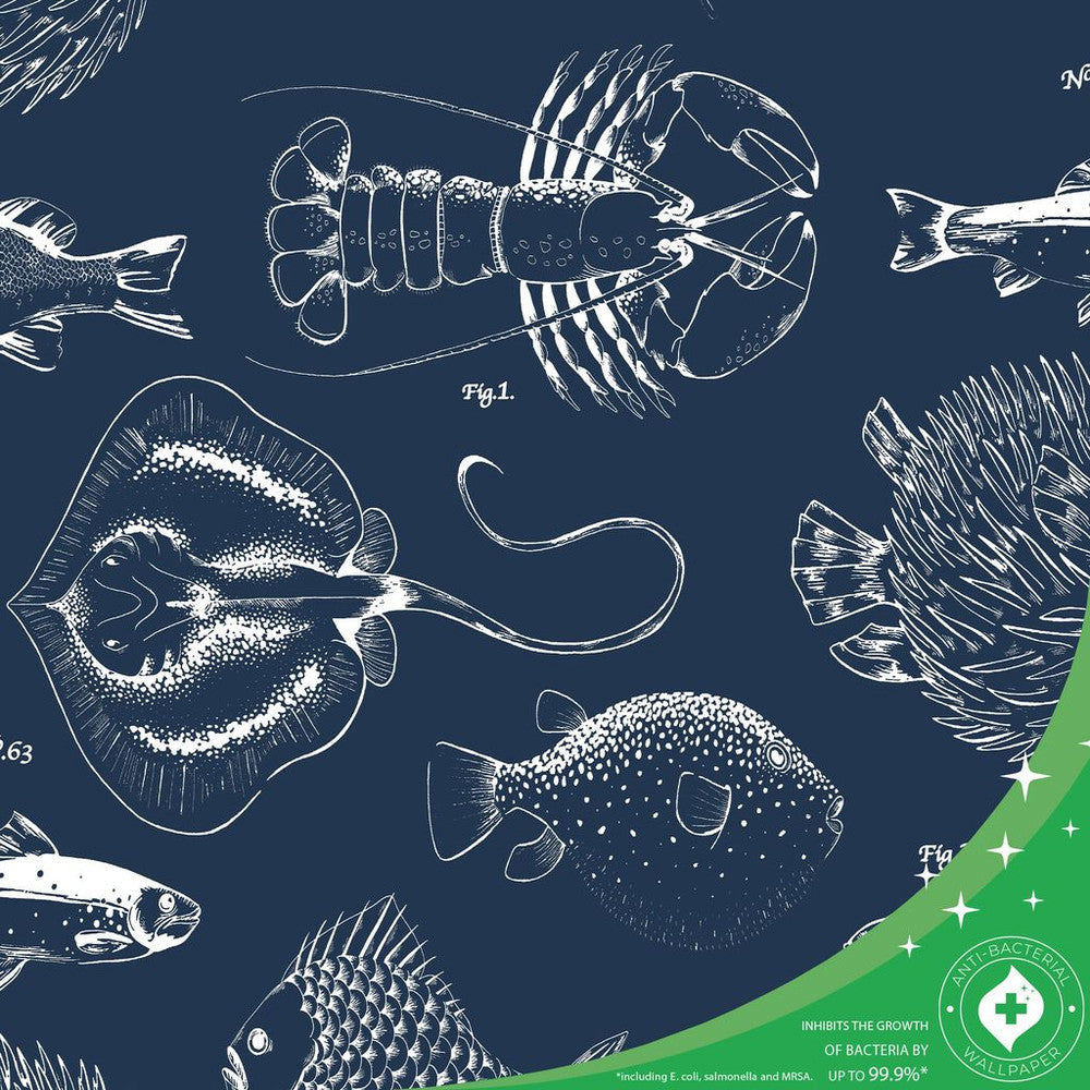 112652 - Into The Wallpaper - Deep Navy - Contour