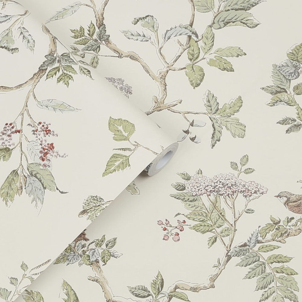 113346 - Elderwood Wallpaper - Natural - Laura Ashley