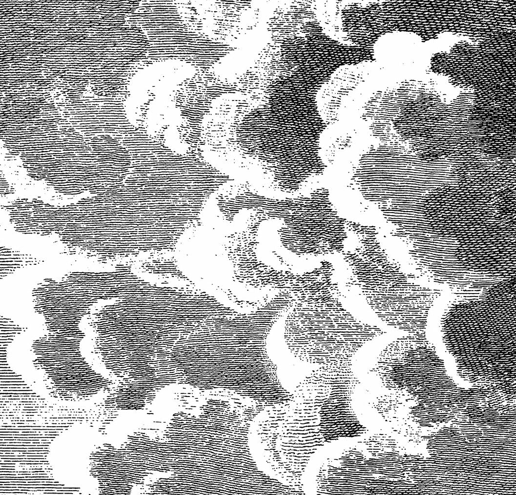 114/29058 - Nuvole Wallpaper - Black & White - Cole & Son