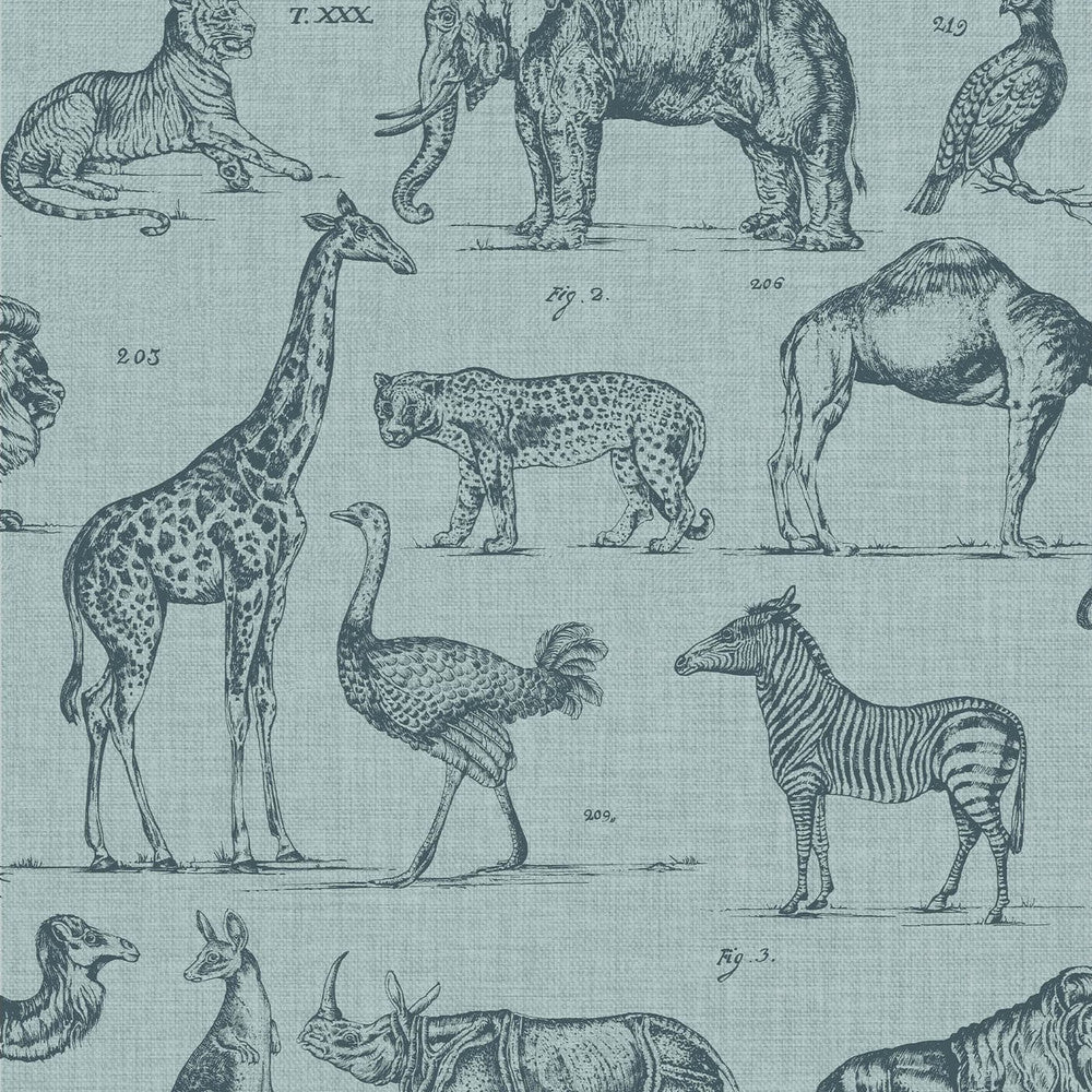 117806 - Zoology Wallpaper - Blue - Superfresco Easy
