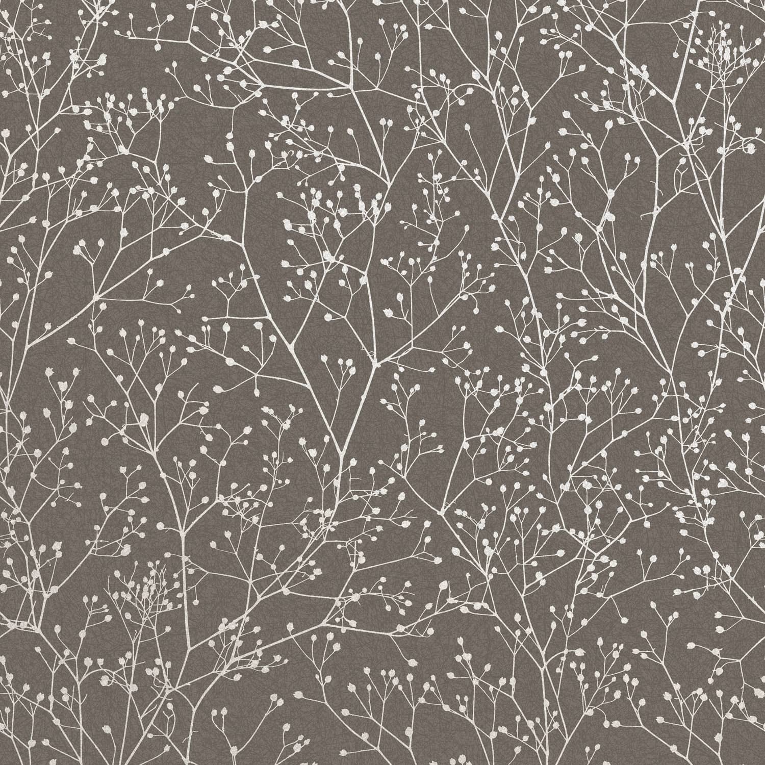 120369 - Gypsophila Wallpaper - Mocha & Silver  - Clarissa Hulse