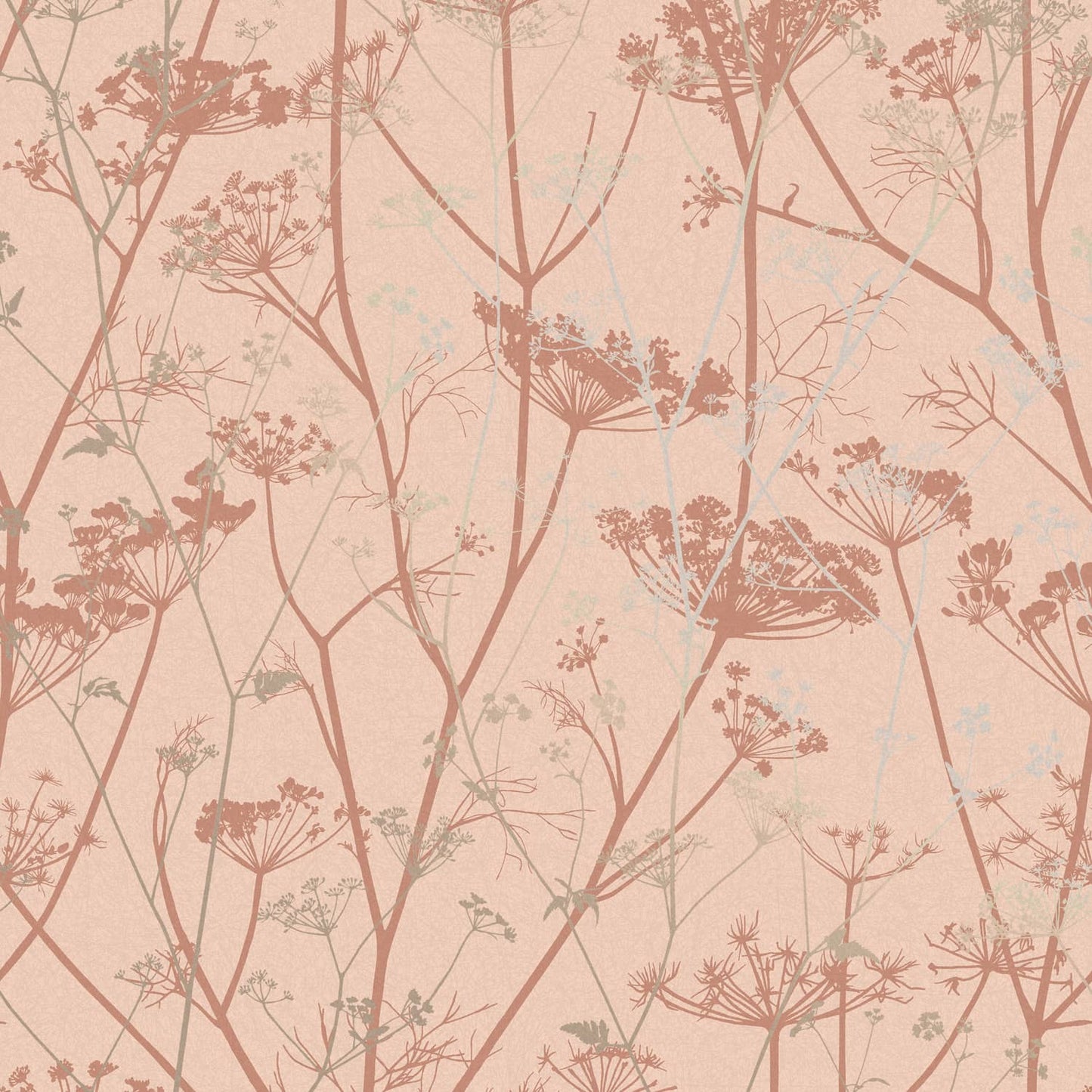 120372 - Wild Chervil Wallpaper - Shell & Rose Gold - Clarissa Hulse
