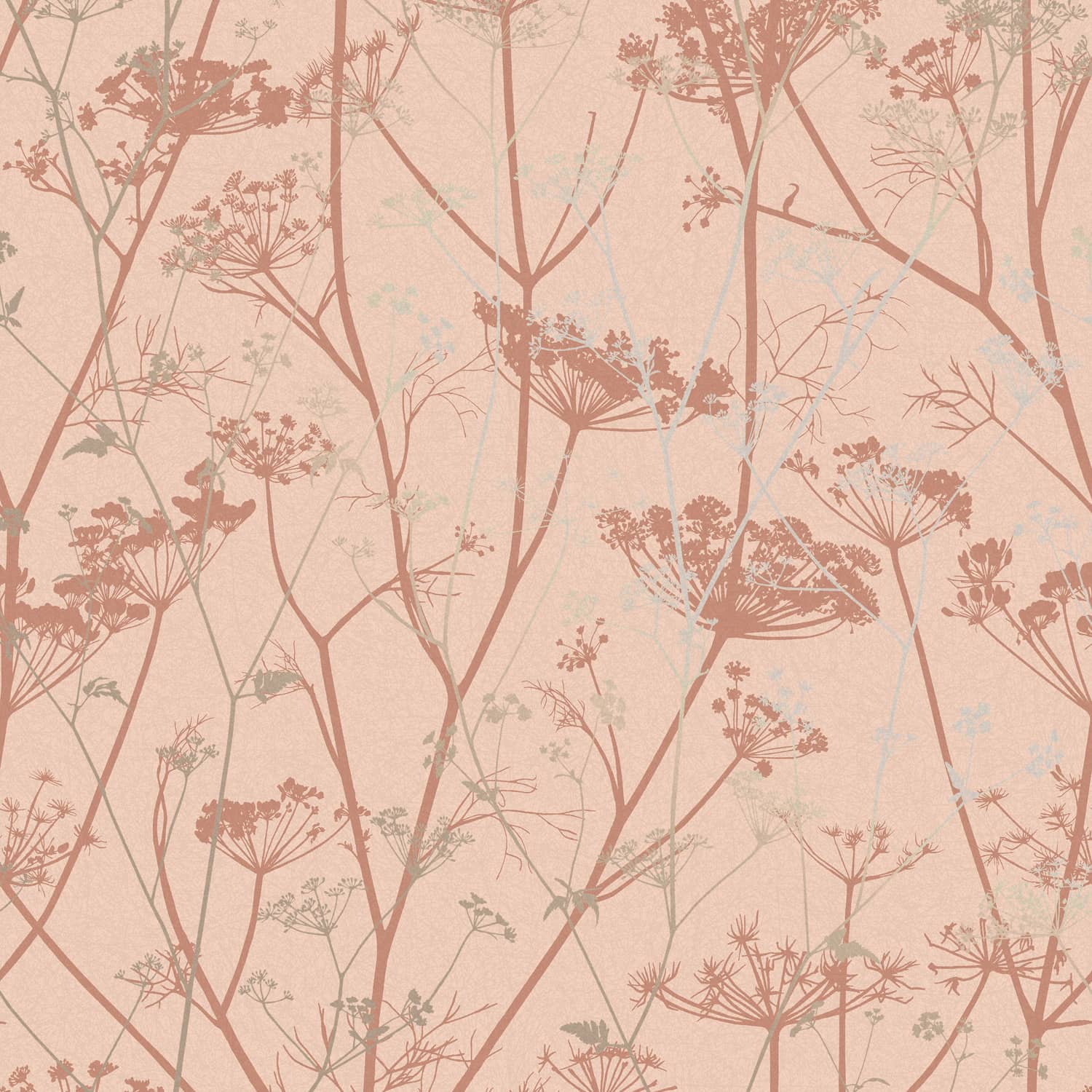 120372 - Wild Chervil Wallpaper - Shell & Rose Gold - Clarissa Hulse