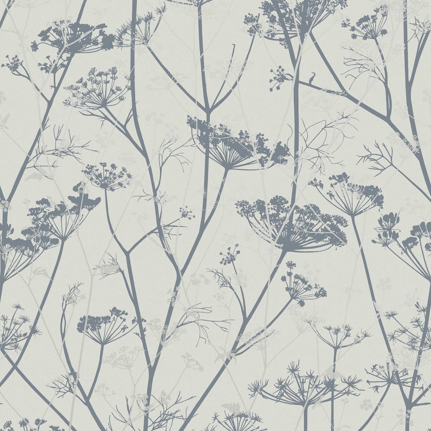 120383 - Wild Chervil Wallpaper - Dove & Silver - Clarissa Hulse