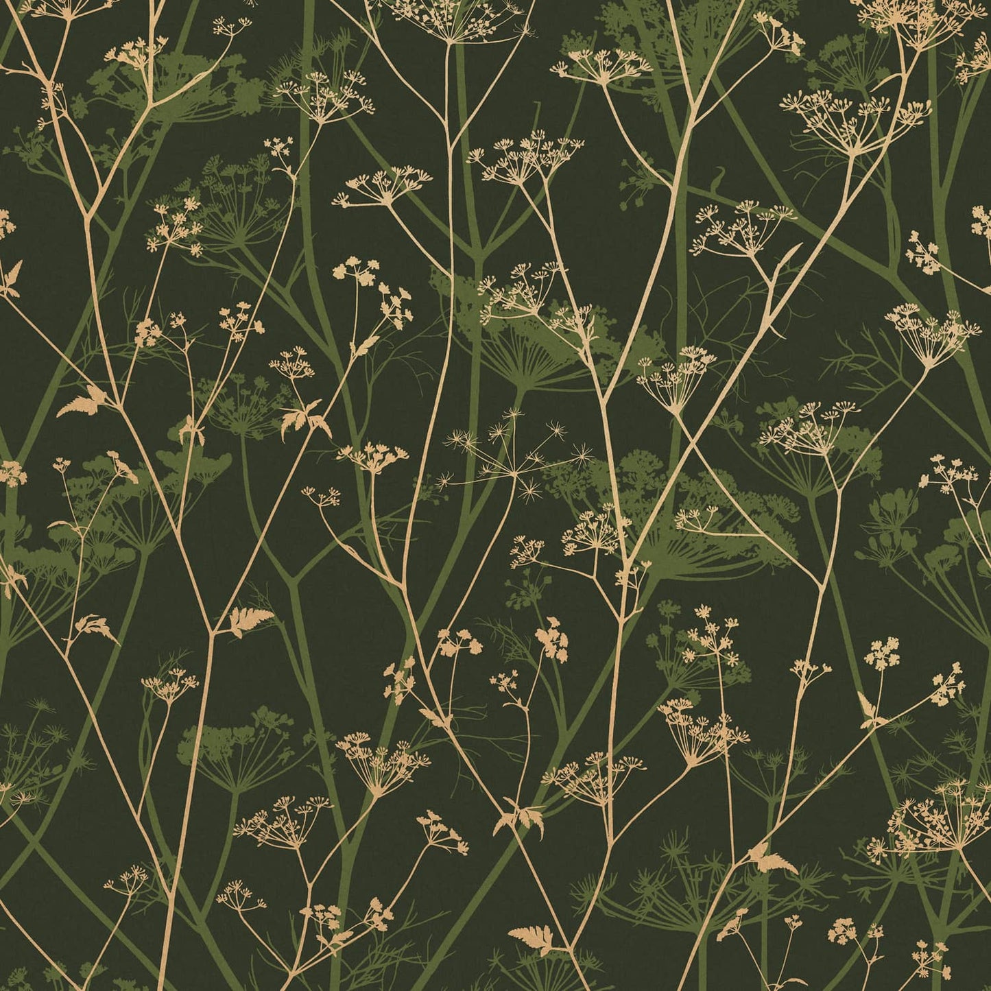 120385 - Wild Chervil Wallpaper - Sage & Gold - Clarissa Hulse