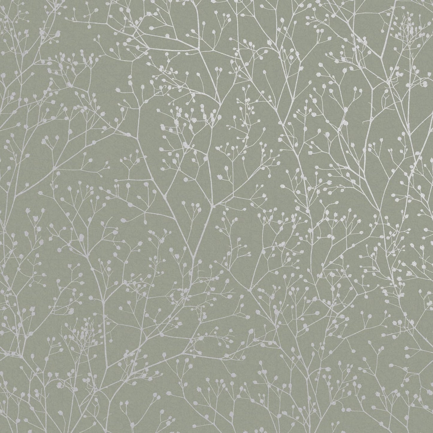 120388 - Gypsophila Wallpaper - Spring Green & Silver - Clarissa Hulse