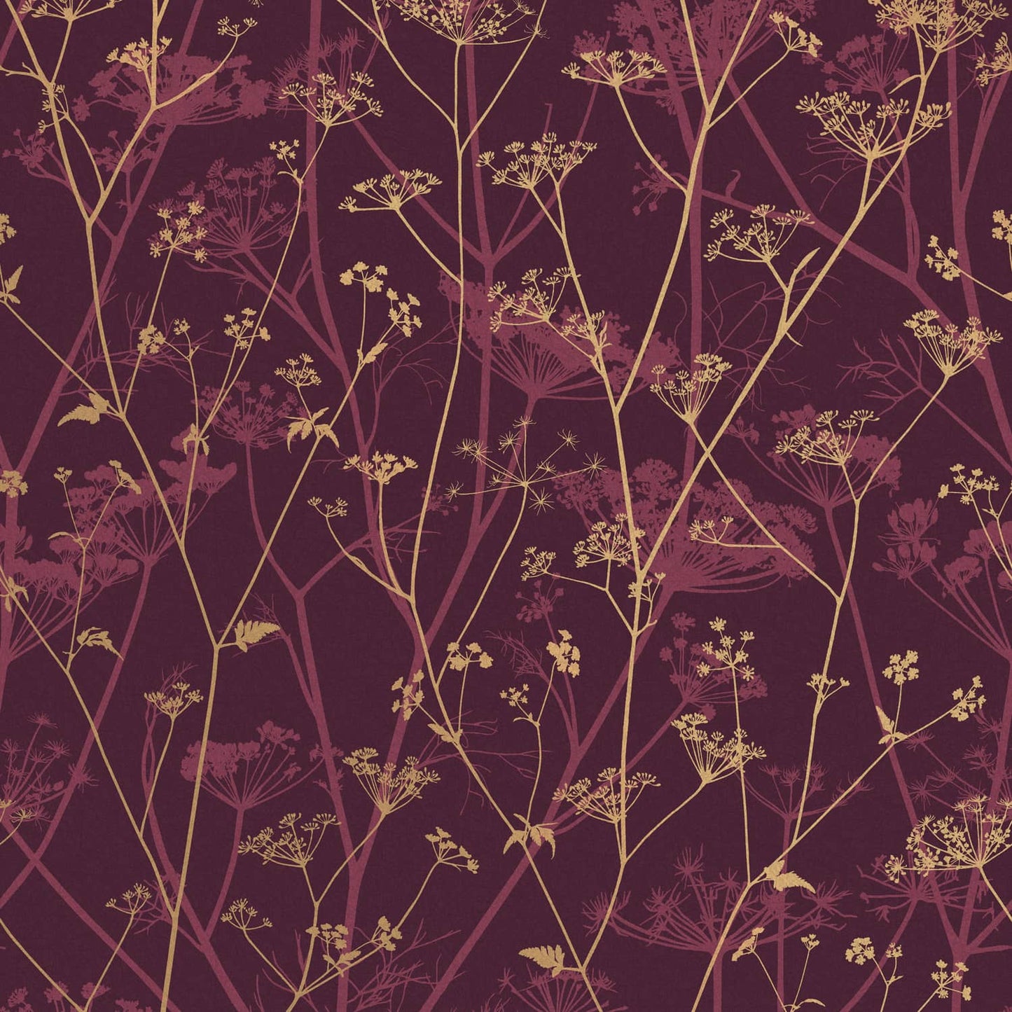 120397 - Wild Chervil Wallpaper - Damson & Gold - Clarissa Hulse
