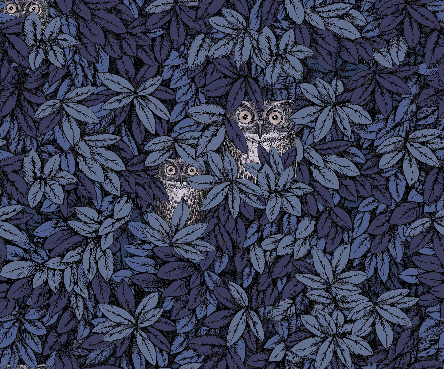 123/11053 - Foglie e Civette Wallpaper - Midnight - Cole & Son