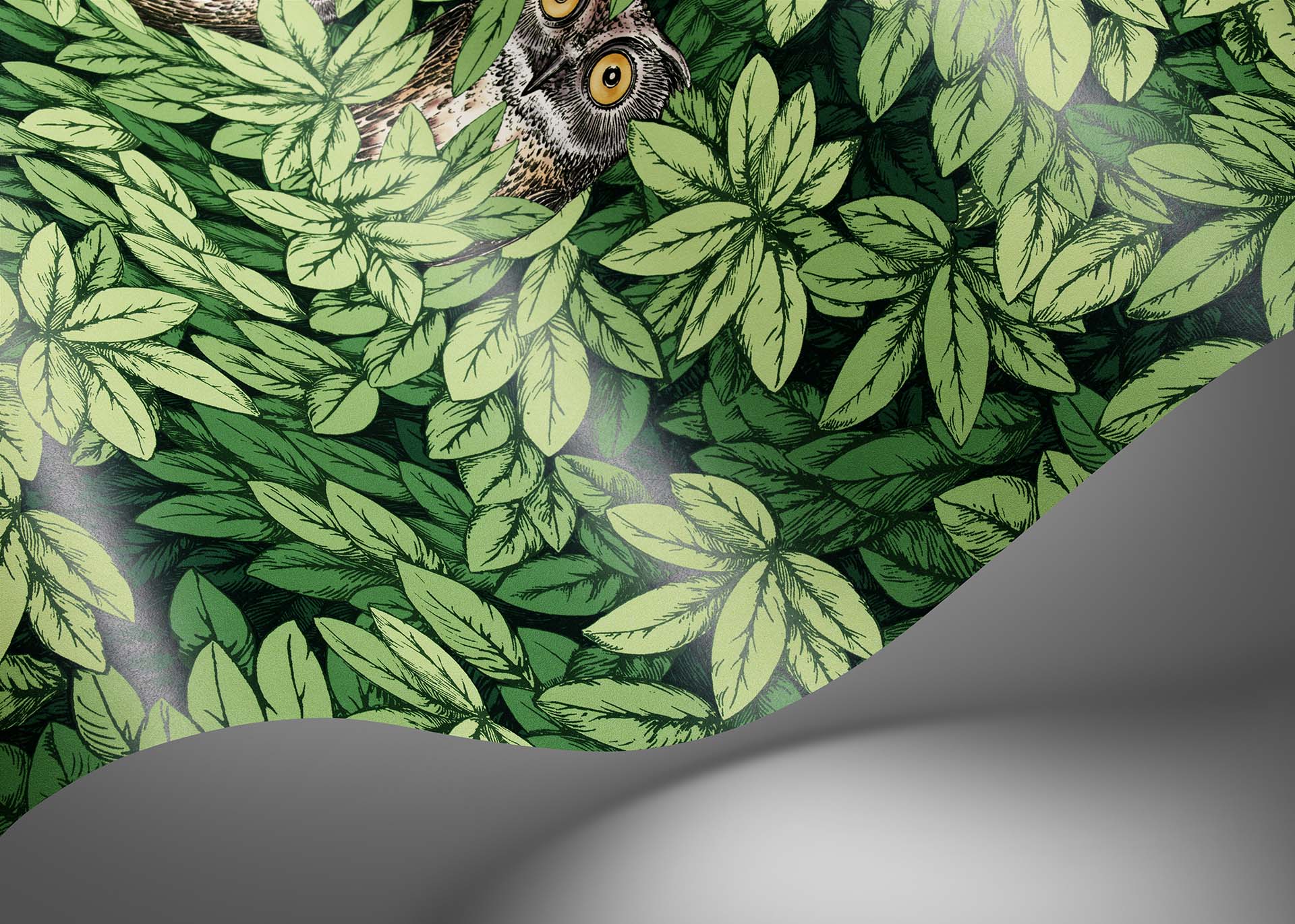 123/11054 - Foglie e Civette Wallpaper - Forest Green - Cole & Son