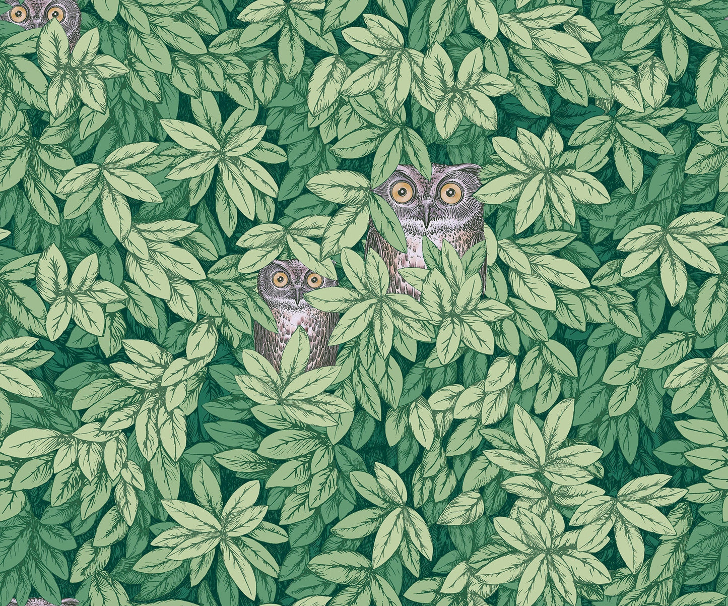 123/11054 - Foglie e Civette Wallpaper - Forest Green - Cole & Son