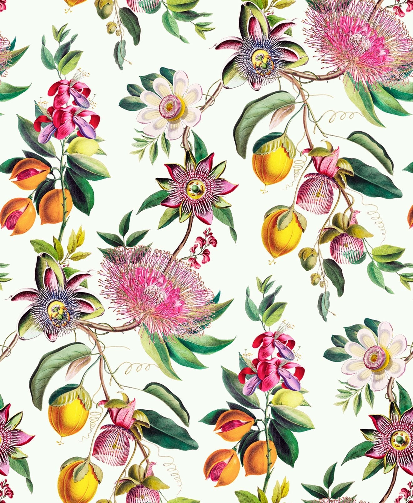 127919 - Physic Garden Wallpaper - Lush - Graham & Brown