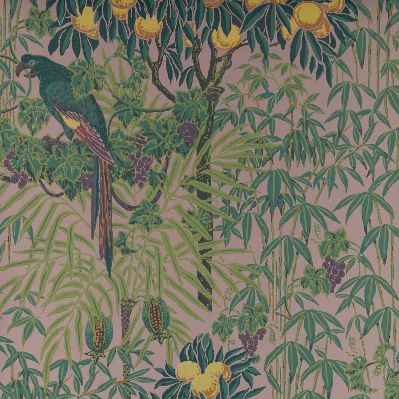 2311-167-02 - Macaw Wallpaper - Blush - 1838 wallcoverings