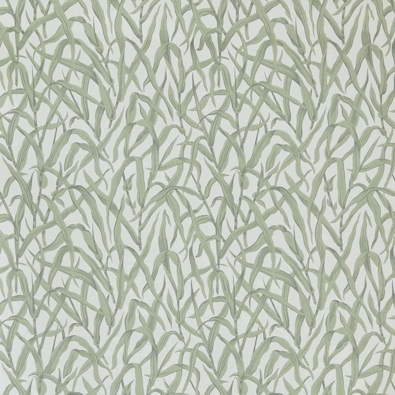 2513-185-01 - Ornamental Grasses Wallpaper - Sage Green - 1838 wallcoverings