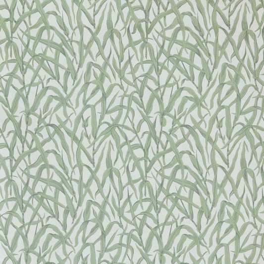 2513-185-01 - Ornamental Grasses Wallpaper - Sage Green - 1838 wallcoverings