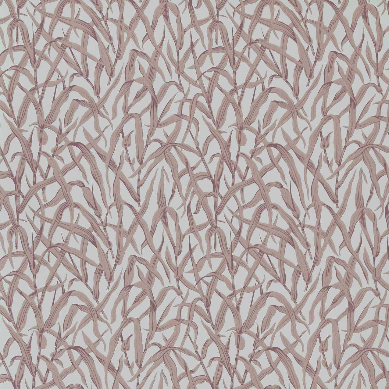 2513-185-03 - Ornamental Grasses Wallpaper - Rose - 1838 wallcoverings