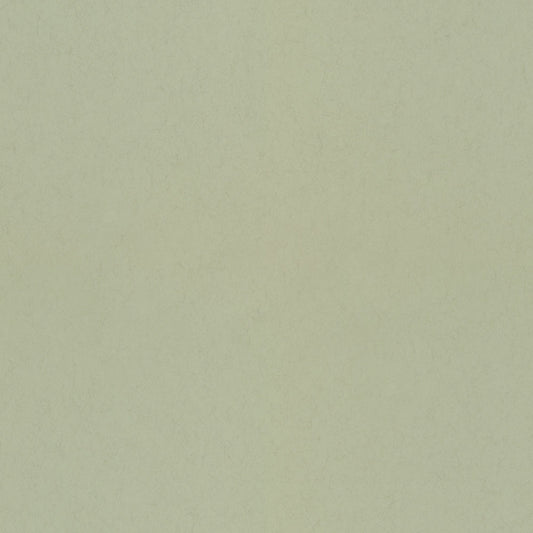 77005 - Pistage Wallpaper - Light Green - Midbec