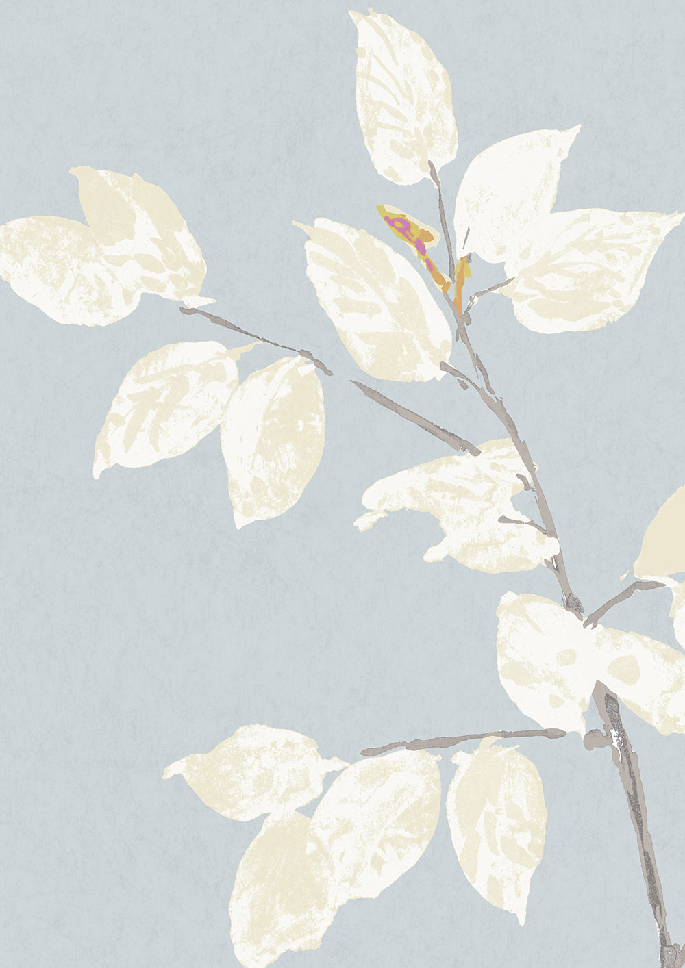 Beech Wallpaper - Cirrus - Lewis & Wood