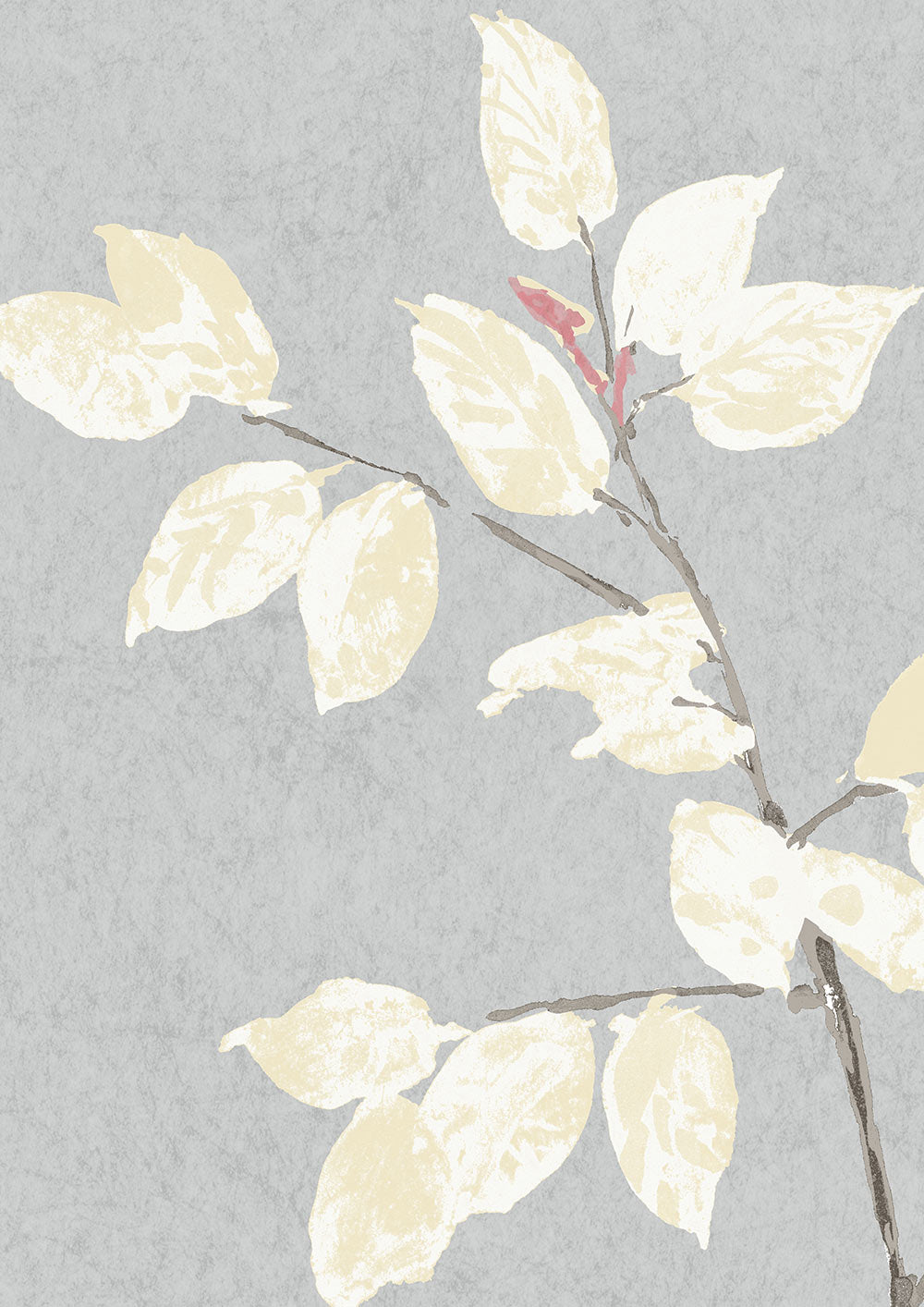 Beech Wallpaper - Dove - Lewis & Wood