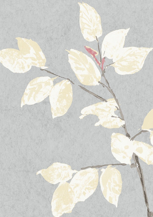 Beech Wallpaper - Dove - Lewis & Wood
