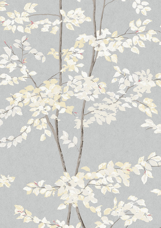 Beech Wallpaper - Dove - Lewis & Wood