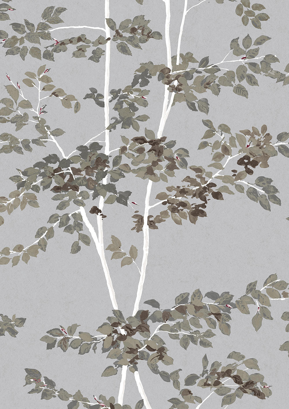 Beech Wallpaper - Silverstone - Lewis & Wood