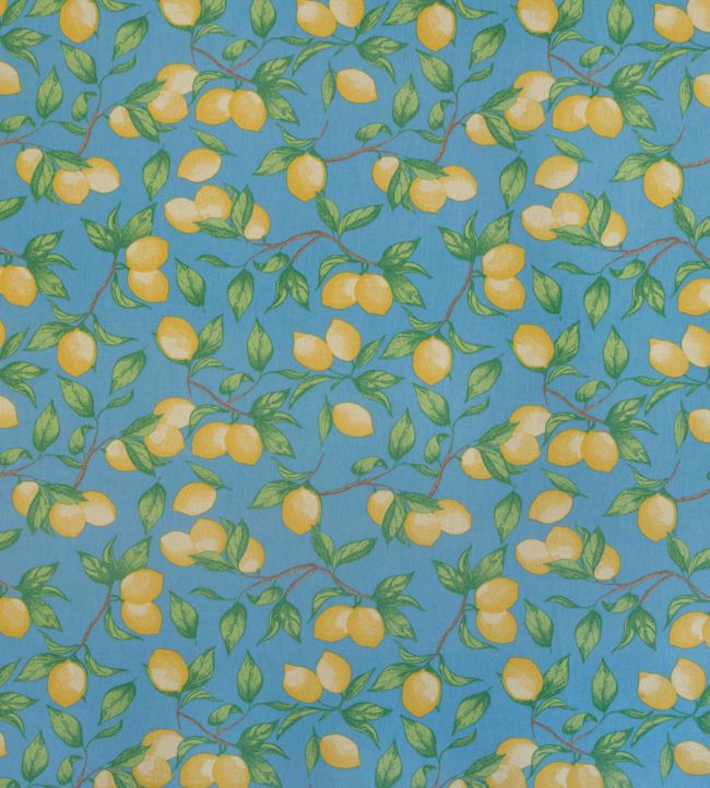 Capri Lemon Fabric - Azure Blue - BGF050301 - Barneby Gates