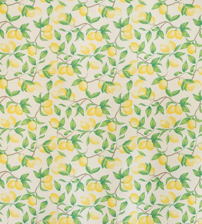 Capri Lemon Fabric - Cream - BGF050302 - Barneby Gates