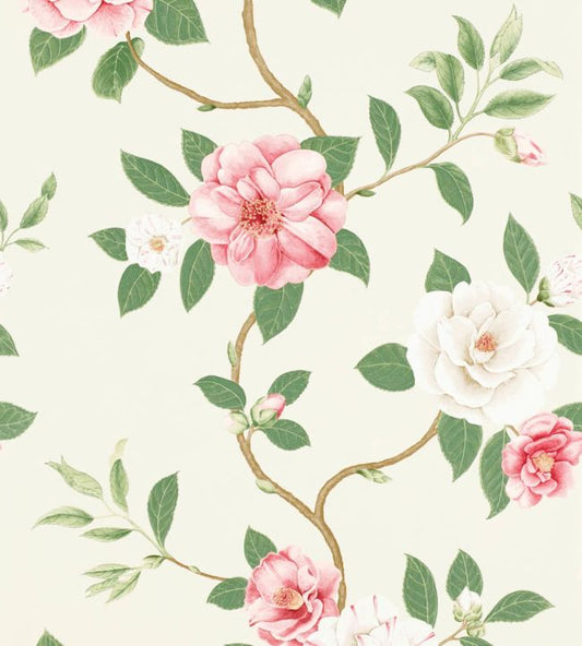 Christabel Wallpaper - Coral/Ivory - DVOY213374 - Sanderson