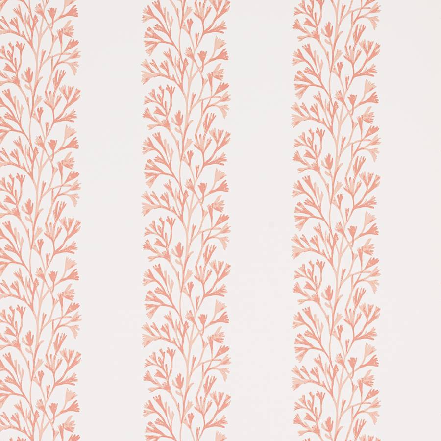 Dita Wallpaper - Coral - J196W-02 - Jane Churchill