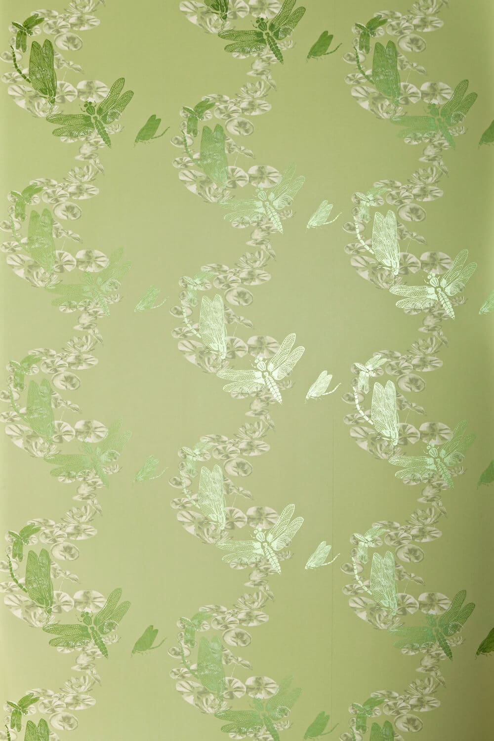 Dragonfly Wallpaper - Apple Green - BG0600 - 202 - Barneby Gates